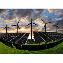 1000W Wind Turbine Generator / Wind Power Generator mit Solar Power Systems